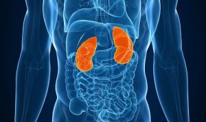 دفع پروتئین