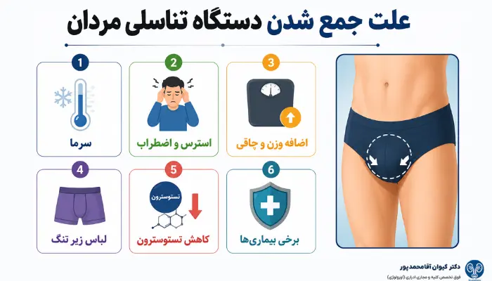 علت جمع شدن دستگاه تناسلی مردان