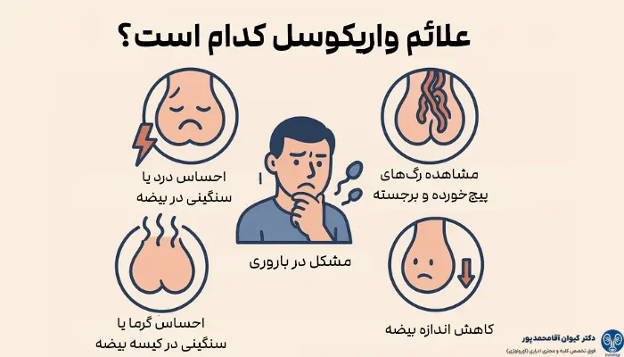 علائم واریکوسل کدام است؟