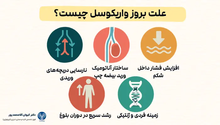 علت بروز واریکوسل چیست؟